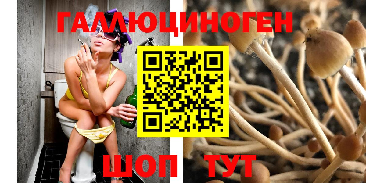 Псилоцибиновые грибы Magic Shrooms  Галлюциногенные грибы прущие грибы  Наро-Фоминск  Вход с VPN 