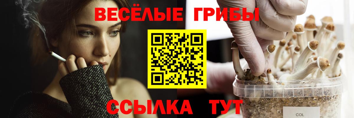 Псилоцибиновые грибы Psilocybine cubensis Наро-Фоминск
